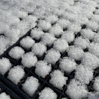 In Defense of Snow: How All This White Stuff Is Actually Doing Your Garden a Favor