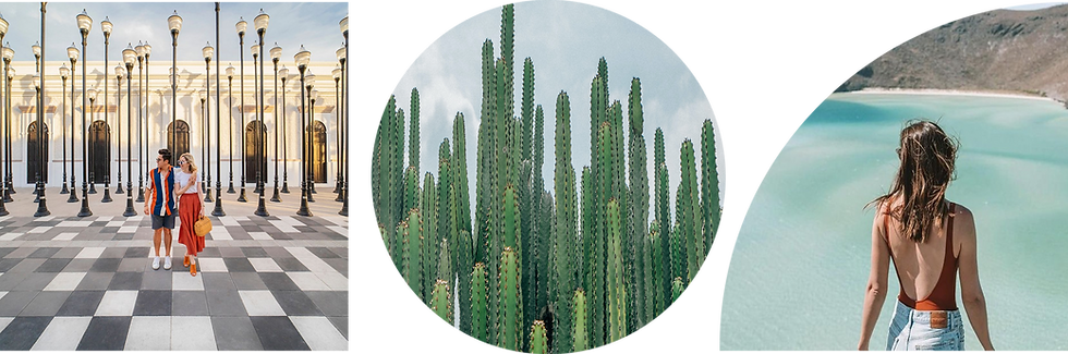 A mobile header series of images featuring la Paz from ocean views to cactus