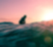 Brand identity design for San Francisco Peninsula, featuring a surfer floating on ocean during sunset