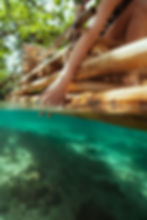 Website design for Jamaica, featuring girl riding a raft on river