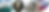 A header series of images featuring San Francisco Peninsula from redwoods to the Pulgas temple