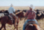 Brand identity design for Evanston, featuring cowboy and cowgirl on horseback