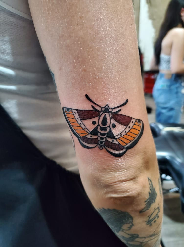 Dead moth