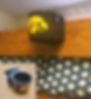 Iowa Hawkeye dorm bunk bed cup holder
