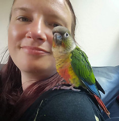 Photograph of Karen, owner of Pawprints Dog Training & Pet Care Services with Green Cheeked Conure named Griffin sat on her shoulder