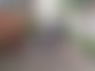 Entrega de Alimentos