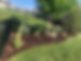IMG_1016 3.jpeg