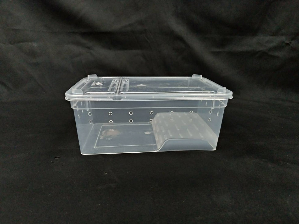 縮圖：兩棲飼養盒S