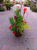 Custom Pot 1