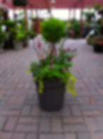 Custom Pot 4