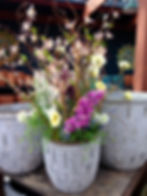 Custom Pot 3