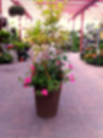 Custom Pot 2