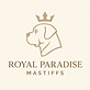 Royal Paradise Mastiffs