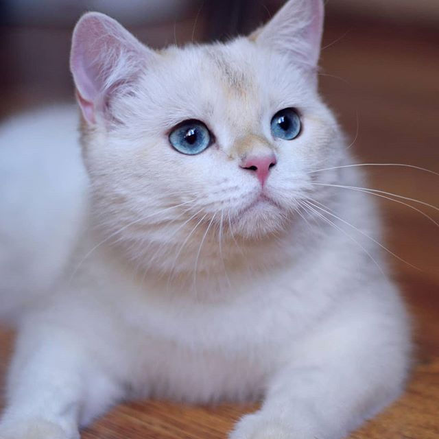 Красив 💙💙💙🤗_____._Я тоже так думаю..