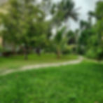 Walking trail around the home