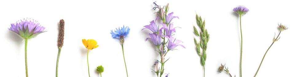 funeral flowers