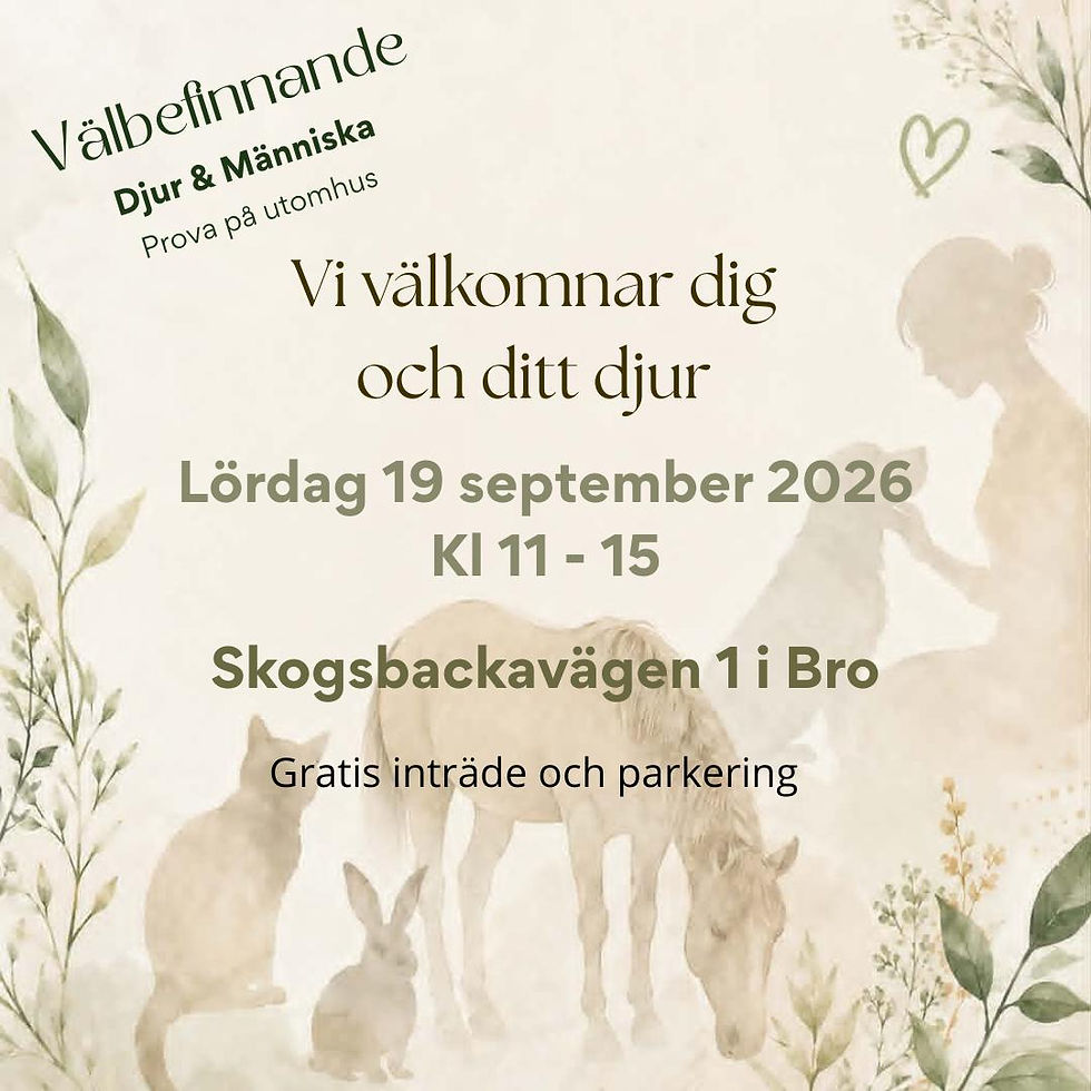 Välbefinnande mässan