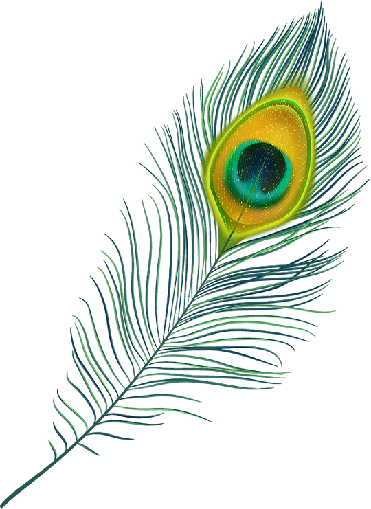 2153 [Convertido].png