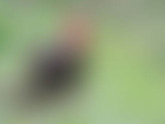 Showing Up Like a Turkey