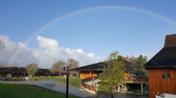 foothillrainbow