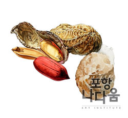 땅콩 개체표현