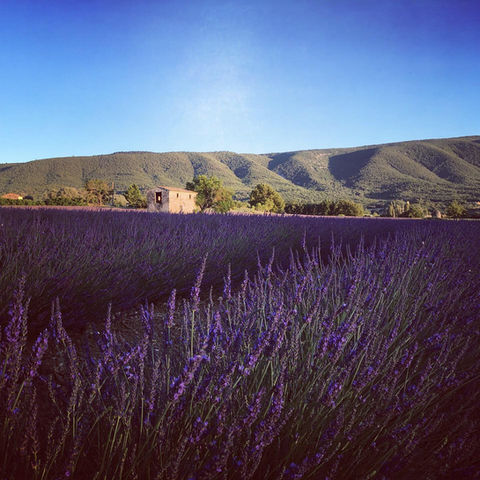 Réaliser un Coaching Professionnel en Provence