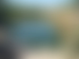 Take a Dip in Ein Lavan