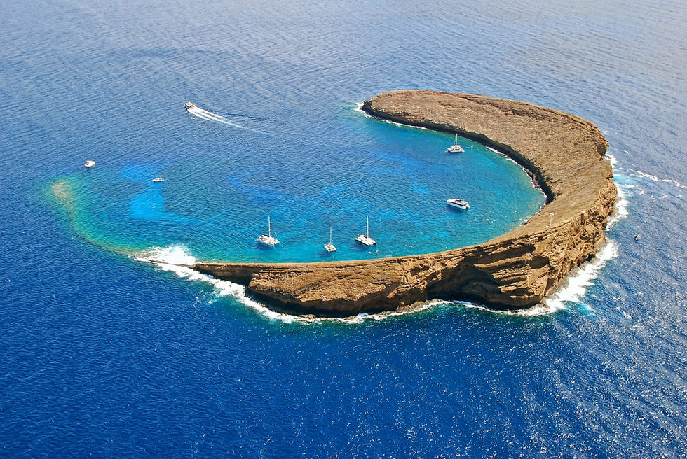 Ohana Hub Spotlight: 48 Hours in Maui, Hawaiʻi