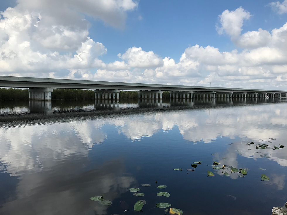 Puentes de Tamiami Trail. Fotografía de The Everglades Foundation.