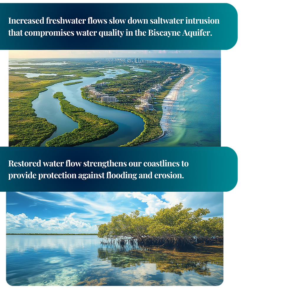 Now and Into the Future: Restoration Shapes South Florida's Resilience