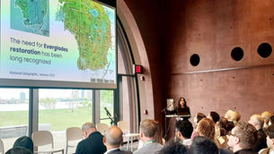 From the Everglades to New York: Lessons in Urban Resilience