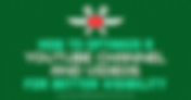 How to Optimize your YouTube Channel by Social Media Examiner