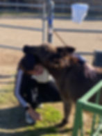 ree