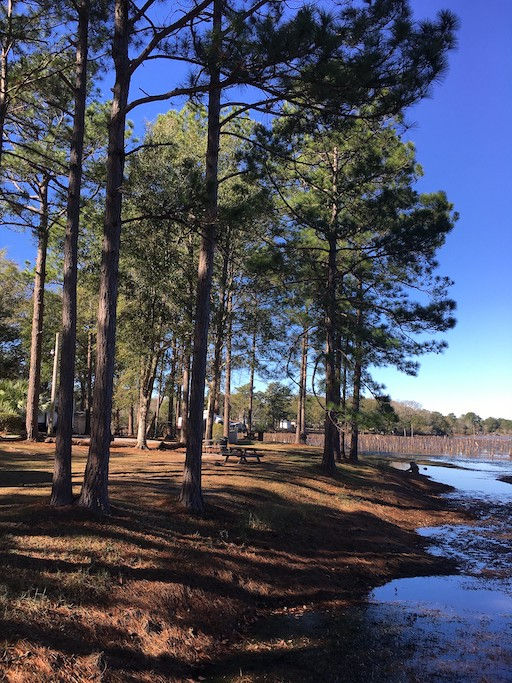 01/06/2020: What? DeFuniak Springs