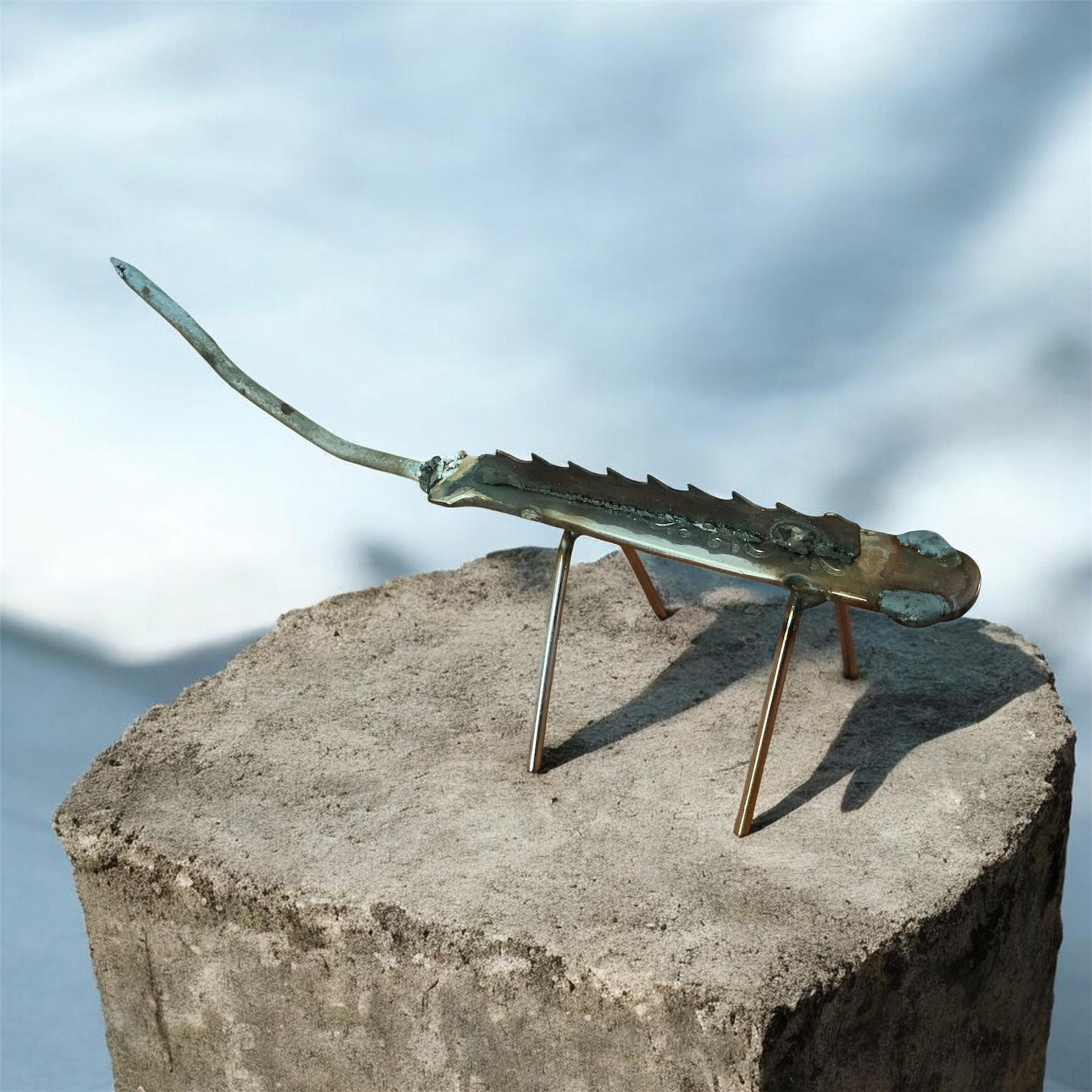 Salamander