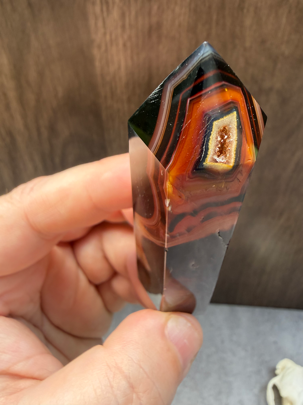 Thumbnail: Natural History Collection | Jewel Beetle, Muskrat Skull, Sardonyx & Cedar Rose