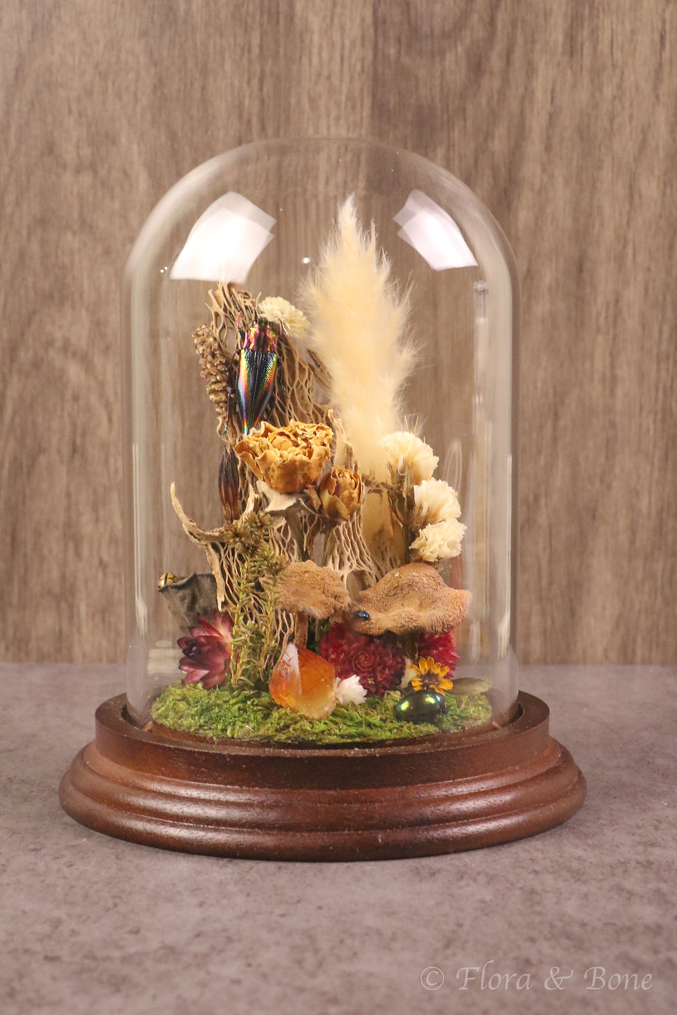 Thumbnail: Rainbow Jewel Beetle Woodland Cloche | Natural History Glass Dome Display