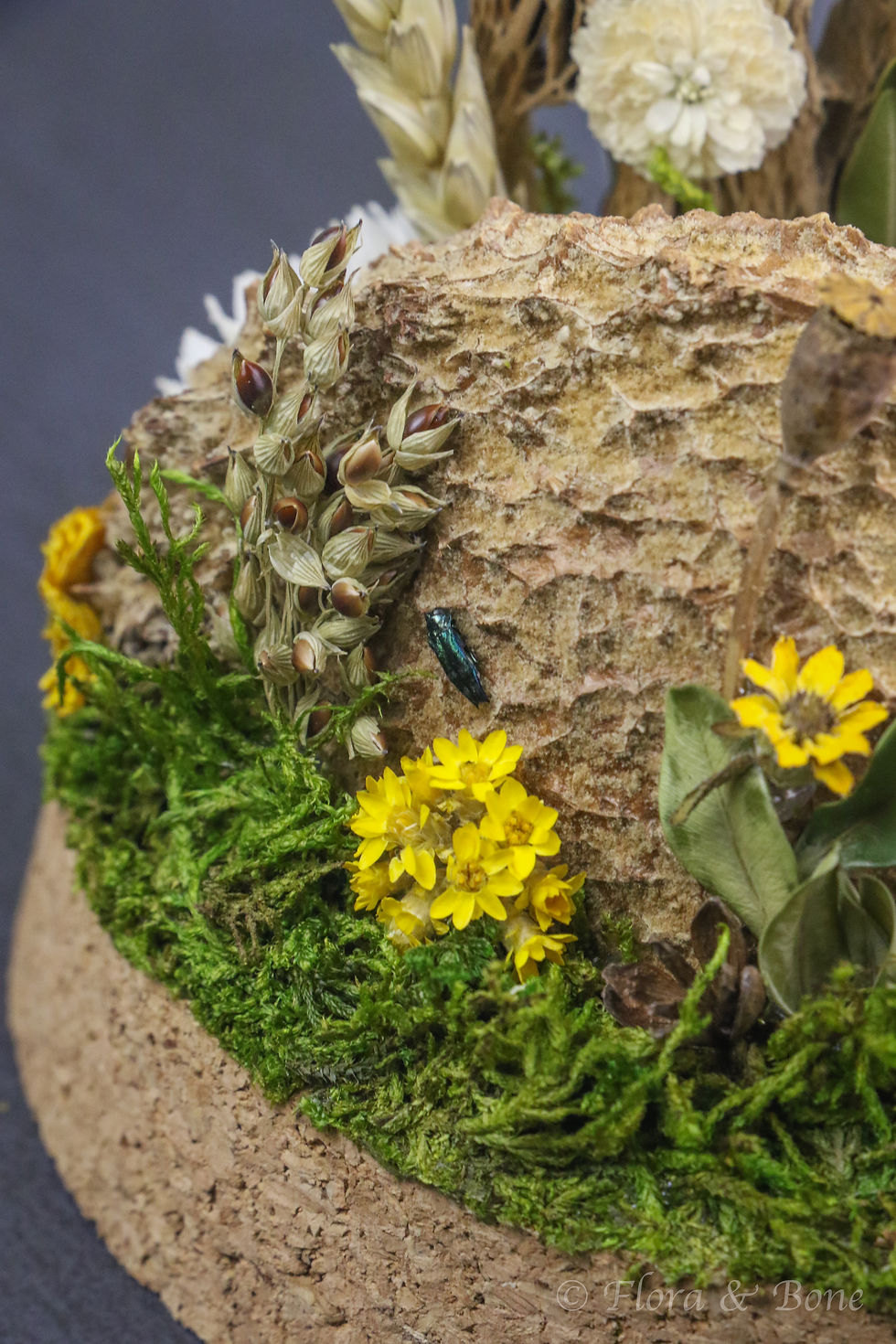 Thumbnail: Red Cracker Butterfly Cloche