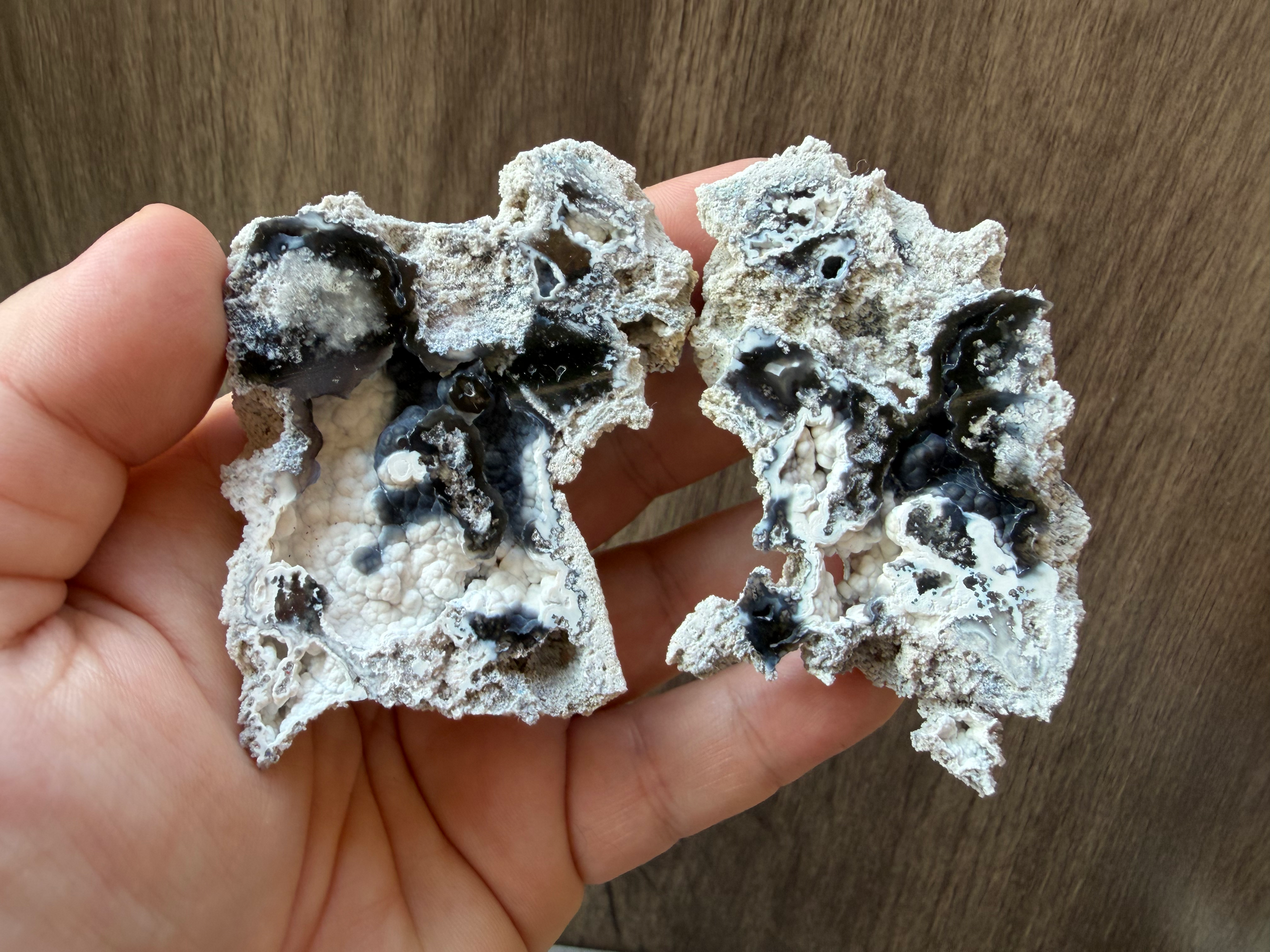 Black & White Agatized Coral Pair | Botryoidal Caverns | UV Reactive