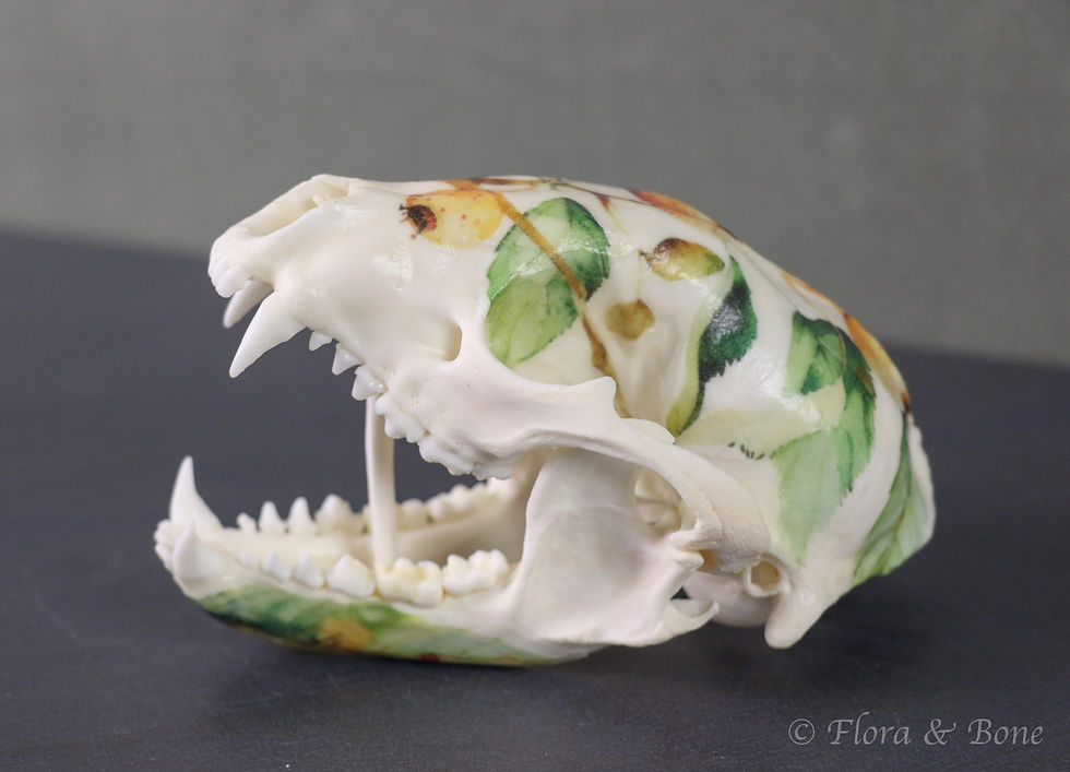 Thumbnail: Raccoon Skull | Floral Decoupage Art Specimen