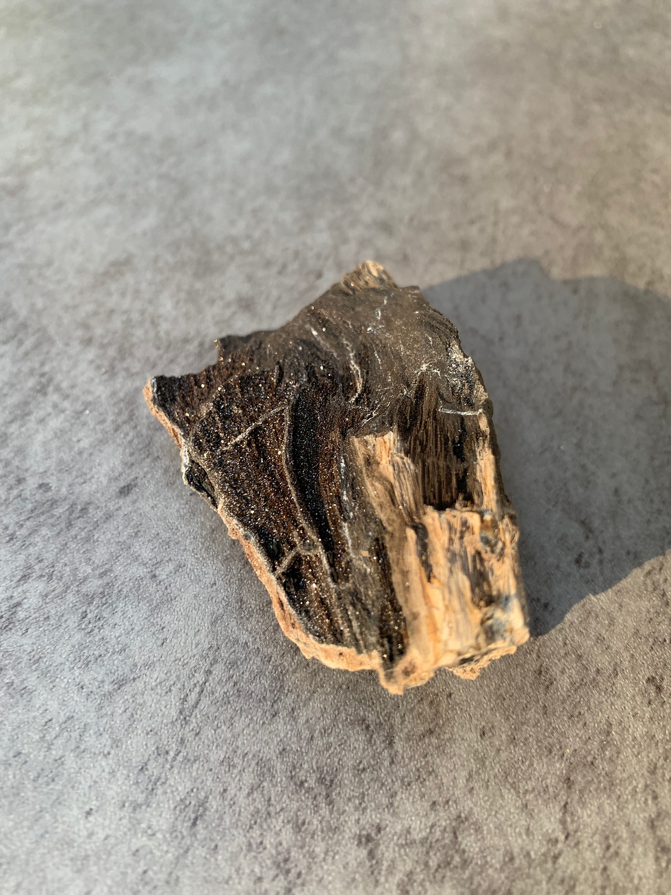 Thumbnail: Indonesian Druzy Petrified Wood | Miocene Permineralized Wood | Natural Fossil