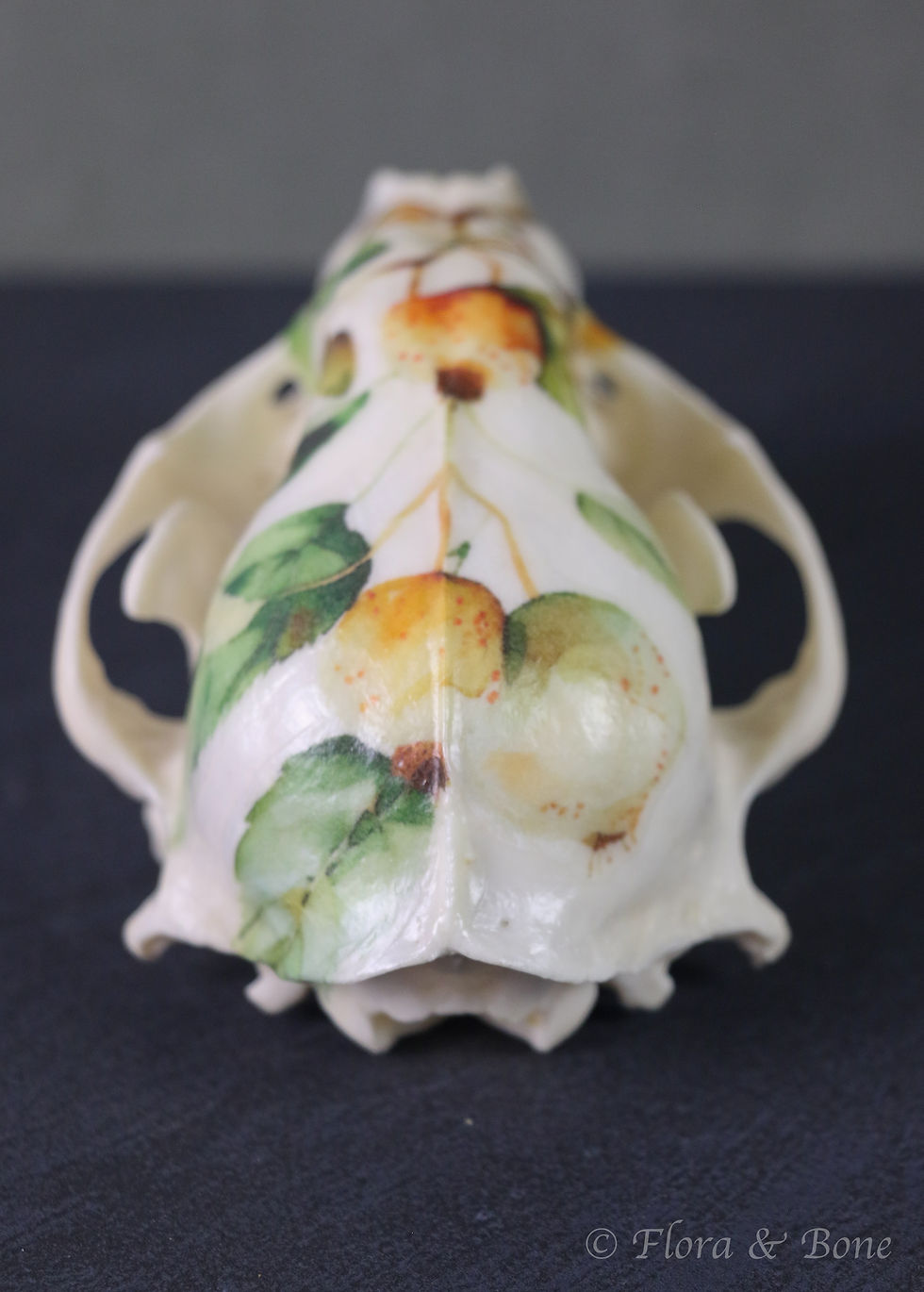 Thumbnail: Raccoon Skull | Floral Decoupage Art Specimen