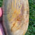 Thumbnail: XL Petrified Wood Freeform | Purple Petrified Wood | Natural Fossil Wood | 5.8"