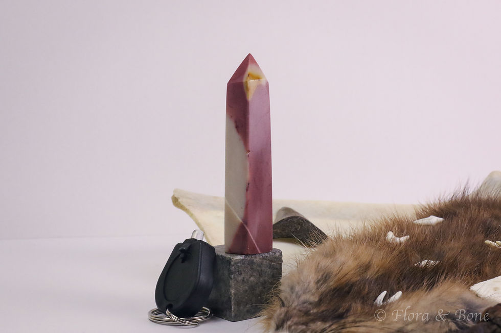 Thumbnail: Curator’s Finds: Oddity Box No. 8