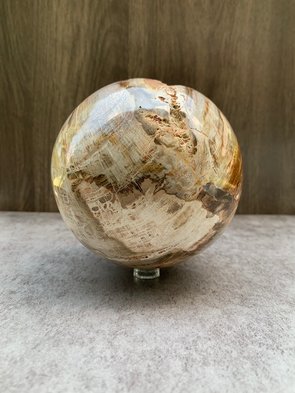 Thumbnail: Petrified Wood Sphere | Polished Fossil Wood | 4.5"