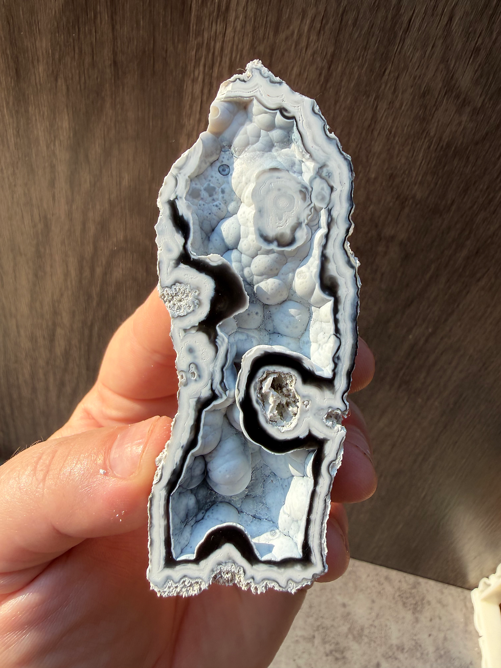 Thumbnail: Blue Botryoidal Agatized Coral Pair | Black & White Banded Agate