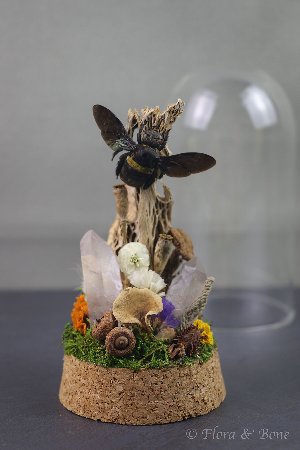 Thumbnail: Carpenter Bee Cloche