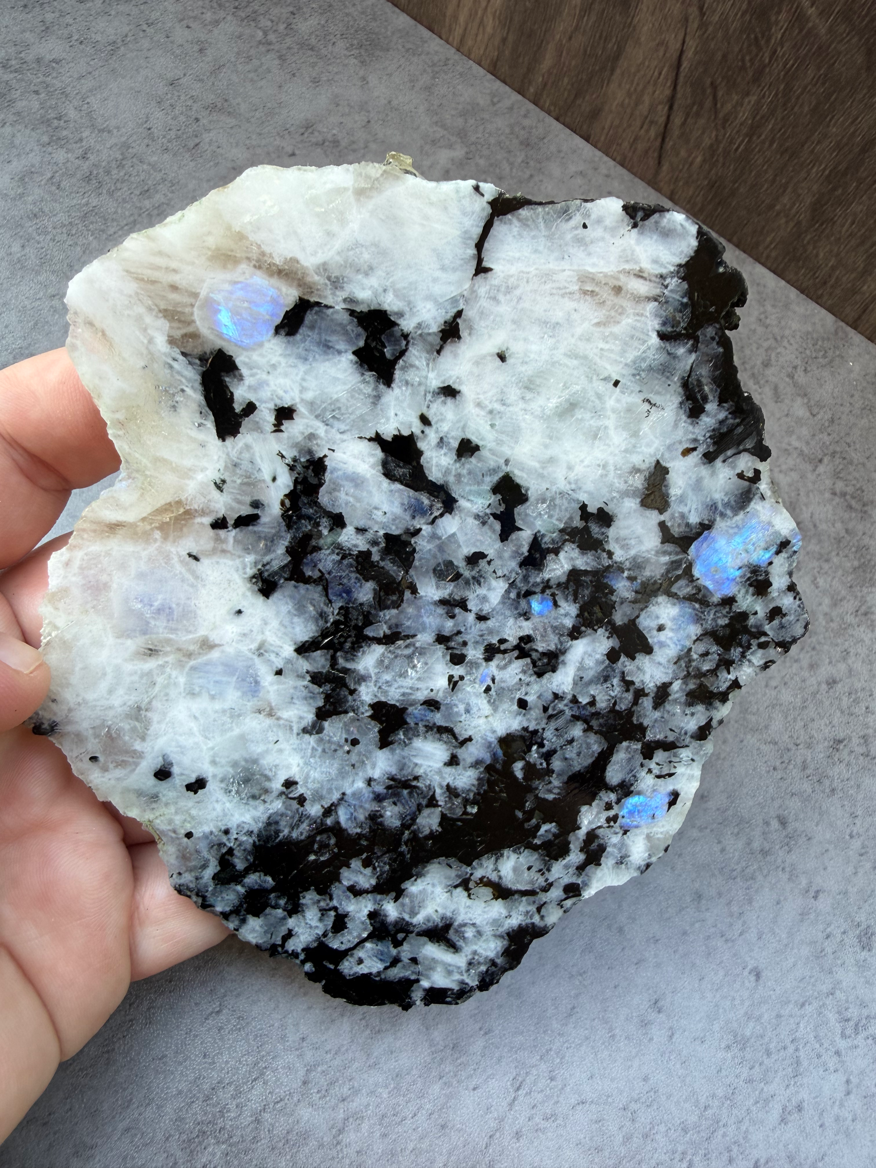 Rainbow Moonstone Slab | 4.9" Black Tourmaline & Blue Flash