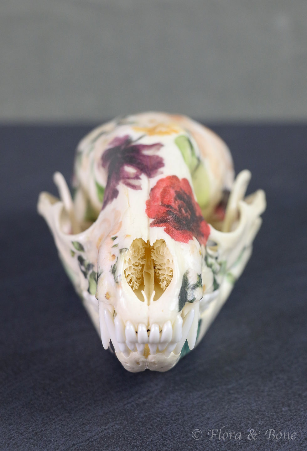 Thumbnail: Raccoon Skull | Floral Decoupage Art Specimen