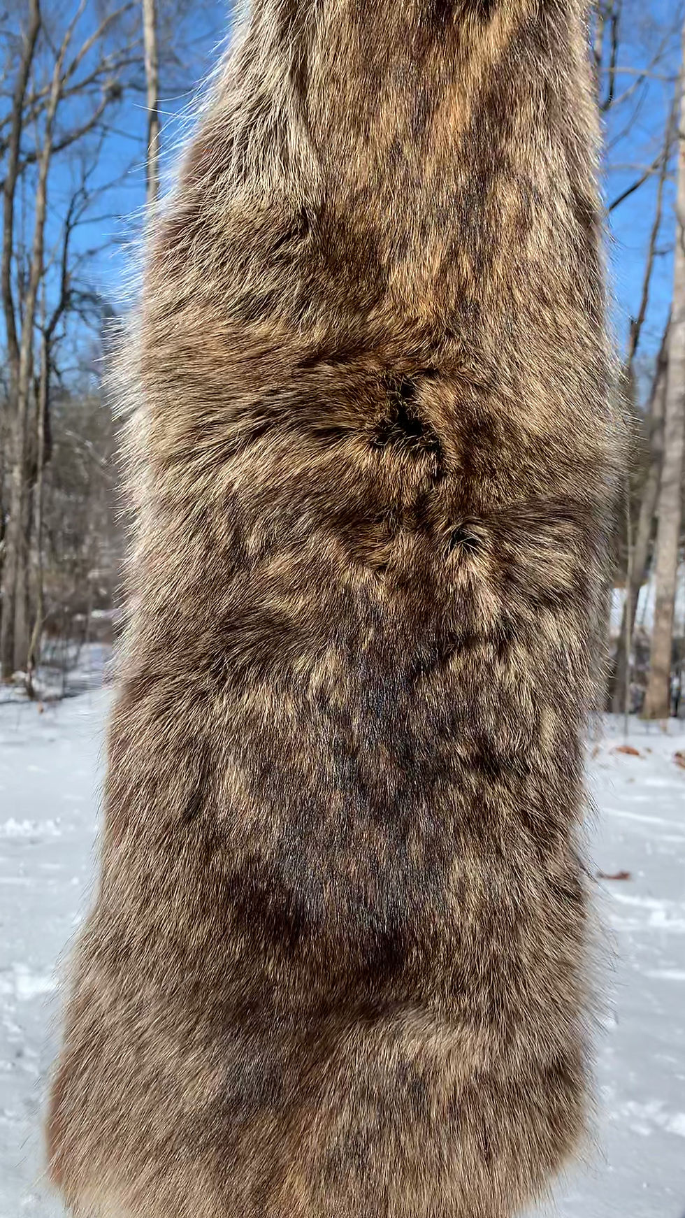 Thumbnail: Curator’s Finds: Oddity Box No. 10